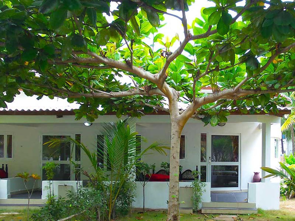 Hotel Village Vacances Awale Plage Grand-Popo Esterno foto