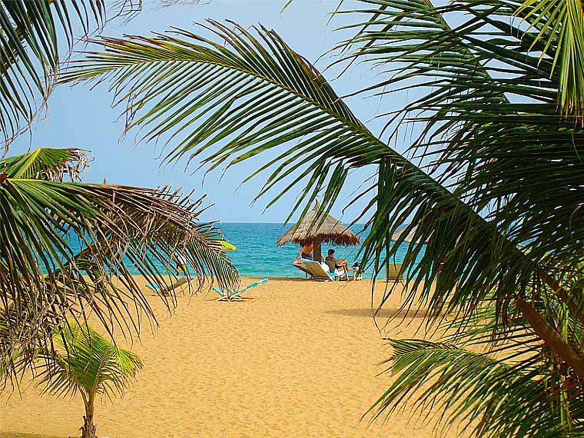 Hotel Village Vacances Awale Plage Grand-Popo Esterno foto